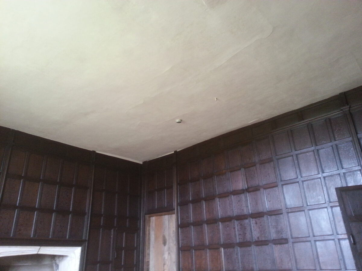 lime plastering & lath and plaster ceilings Weyford