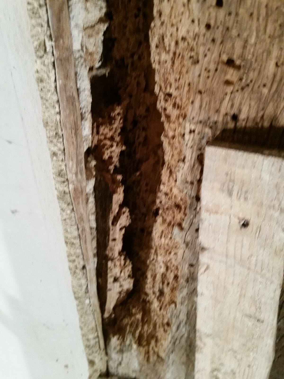 lime plastering & lath and plaster ceilings Weyford